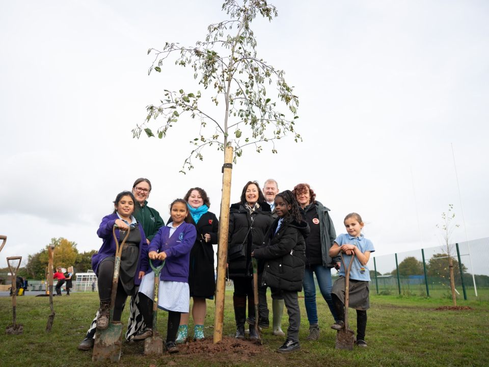 A Thousand Community Trees For The UK's Four Capitals