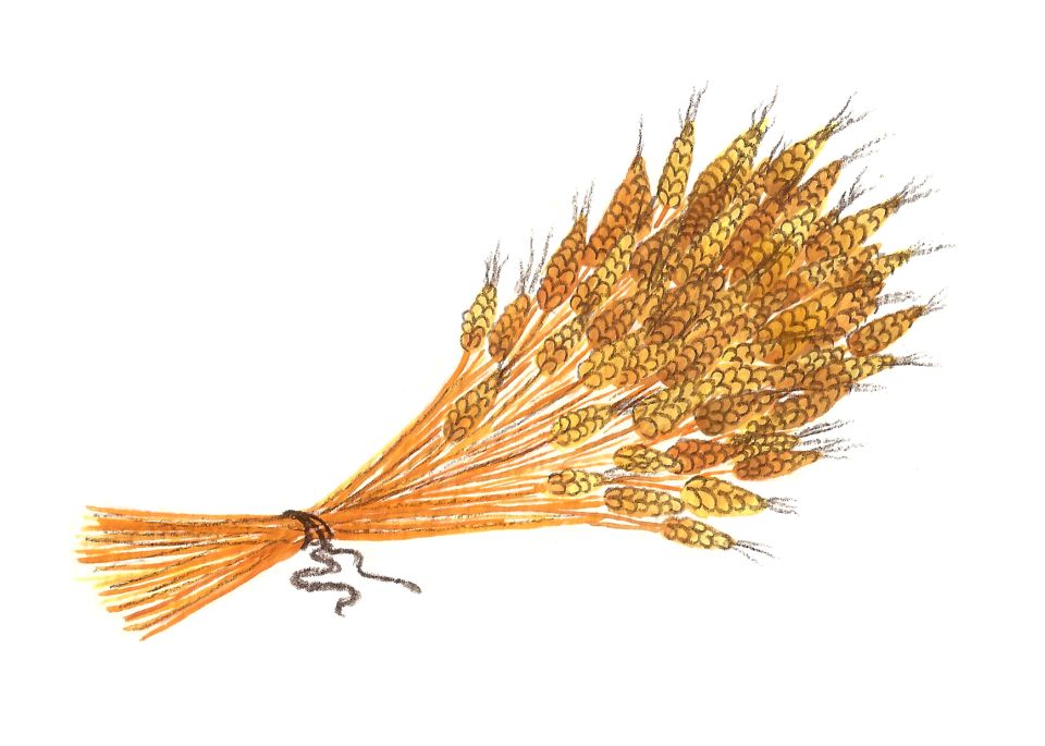 Wheat Sheaf