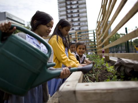 Edible Playgrounds