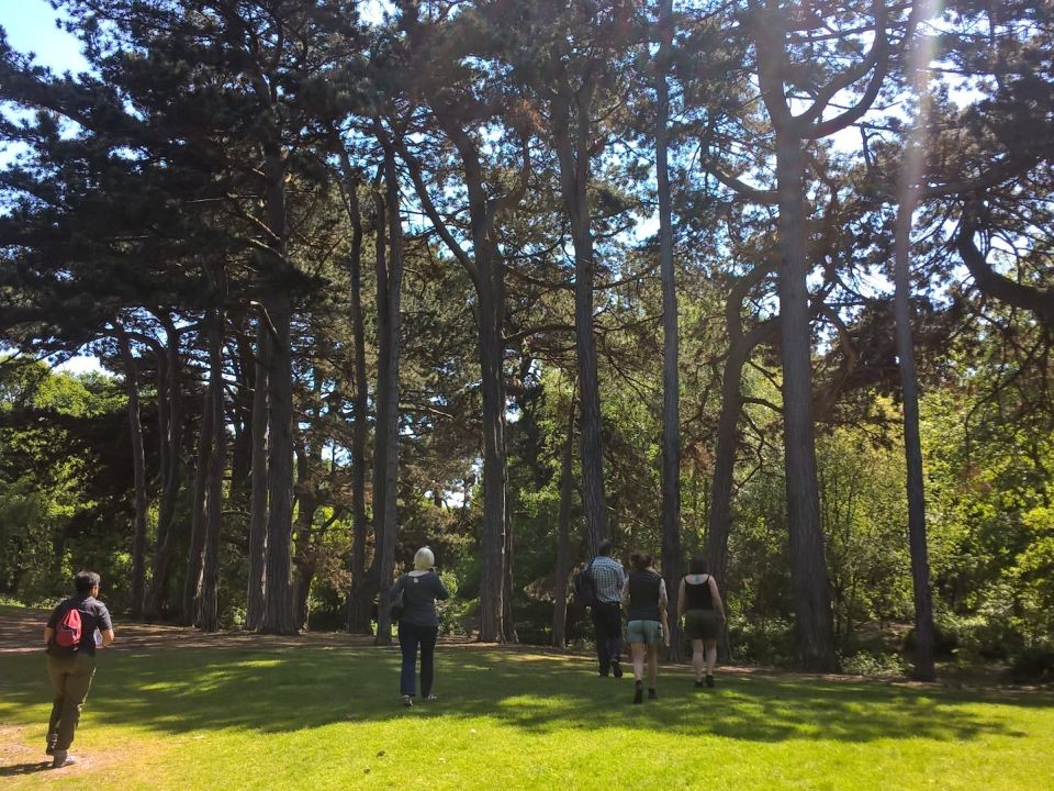 21 UK Councils recognised as Tree Cities of the World!