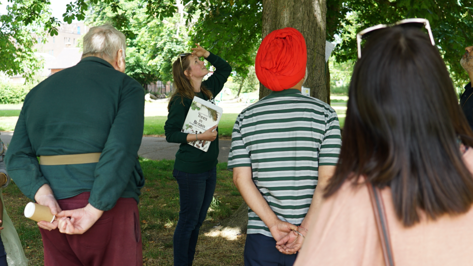 Tree ID Workshop