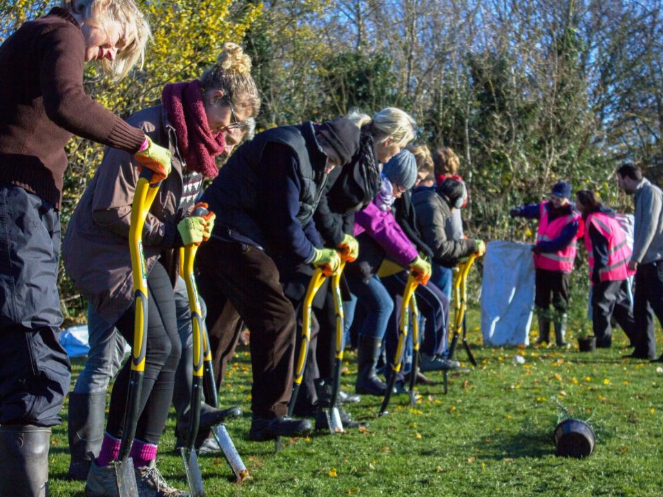 National Poll reveals 9 in 10 of us agree: We need to plant more trees than we cut down!