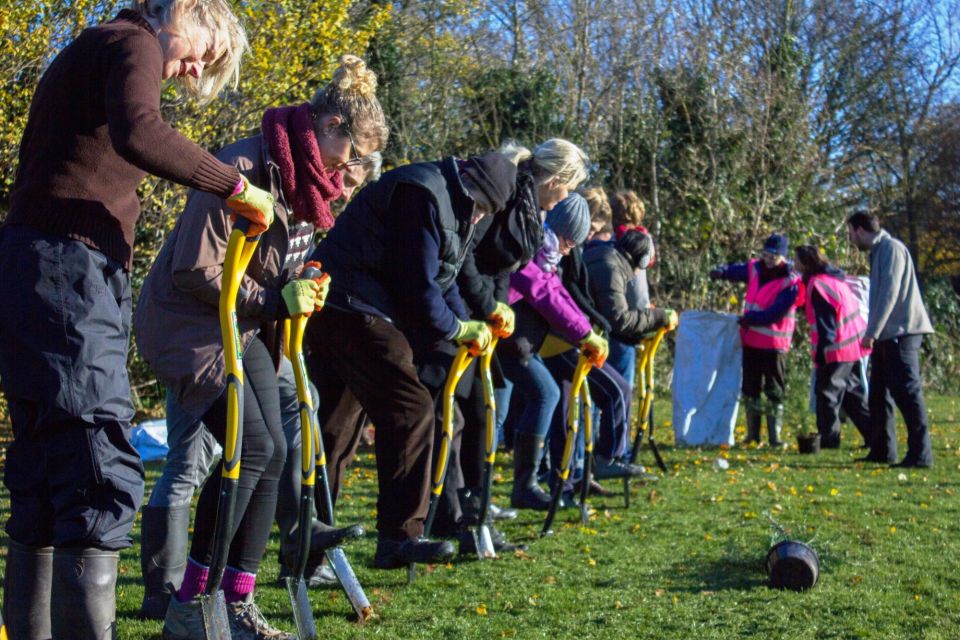 Volunteers Planting Trees