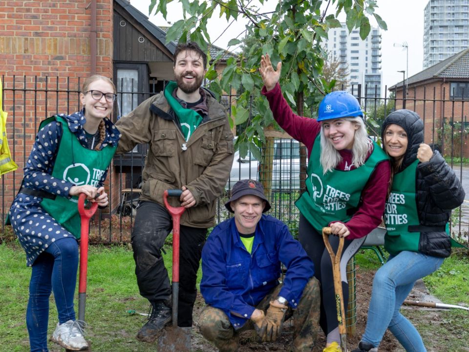 London Mayor launches mass-tree planting package