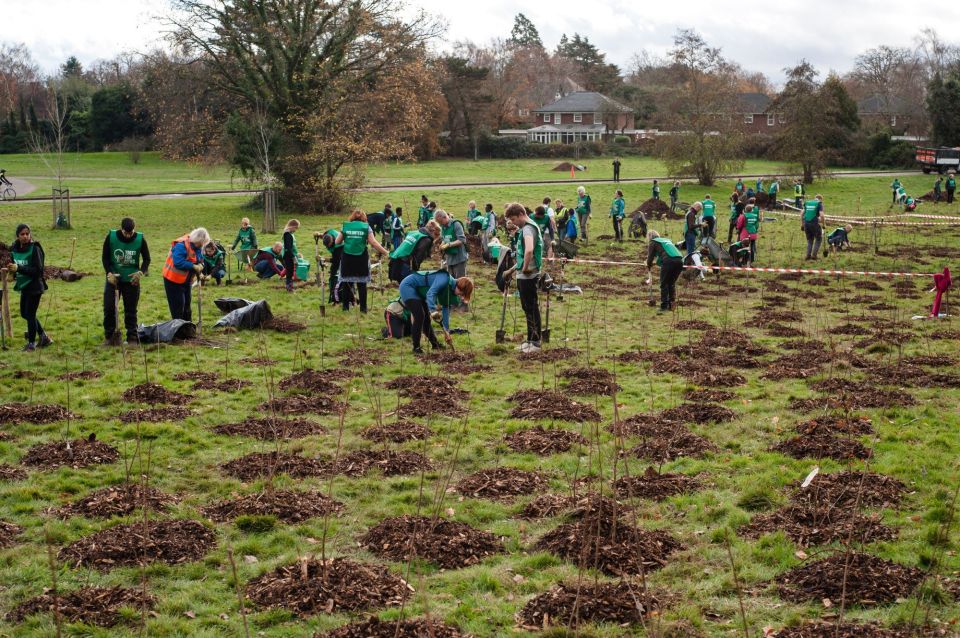 8 Beckenham Place Park planting day 2 Dec 2018 Photo by Luca Radek