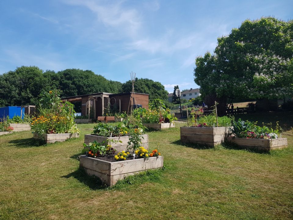 A playground with flower-filled planters