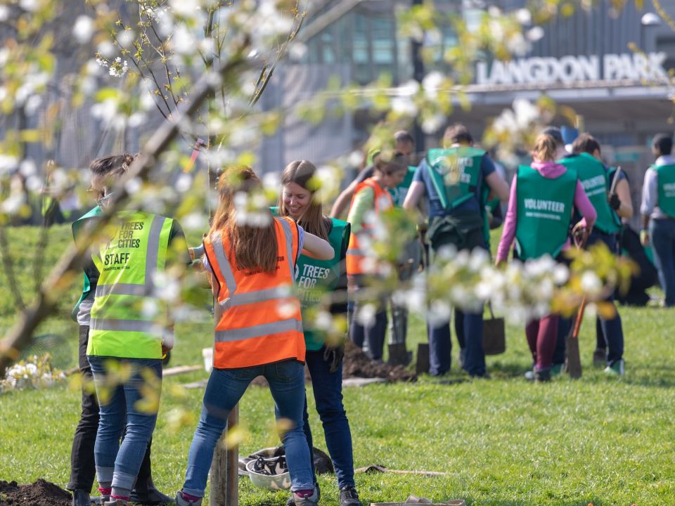 Fighting climate change in towns and cities