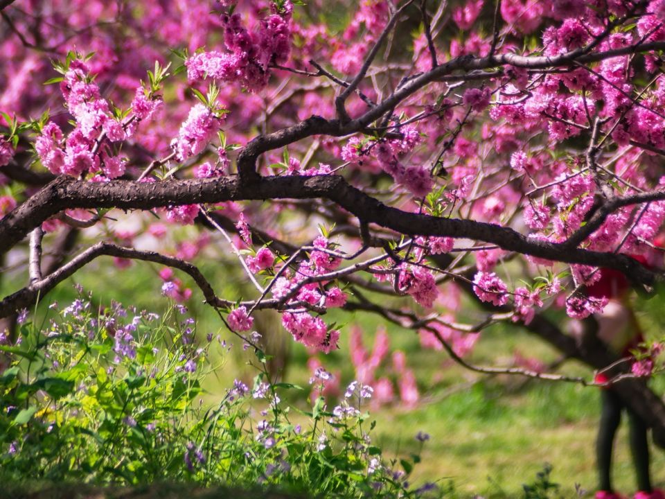 Spring Ahoy!