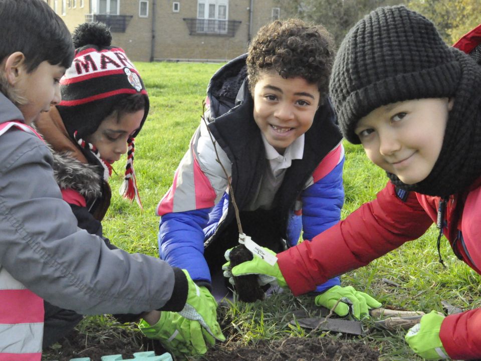 Inspiring the next generation of tree-planters