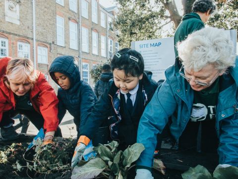 Trees for Climate Action