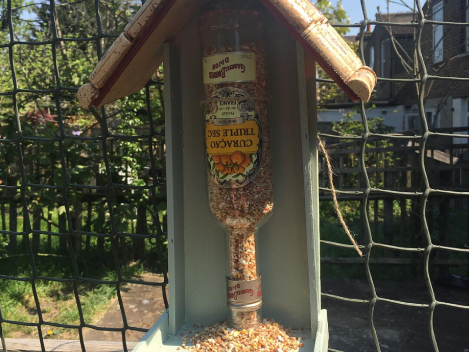 How to make your own bird feeder
