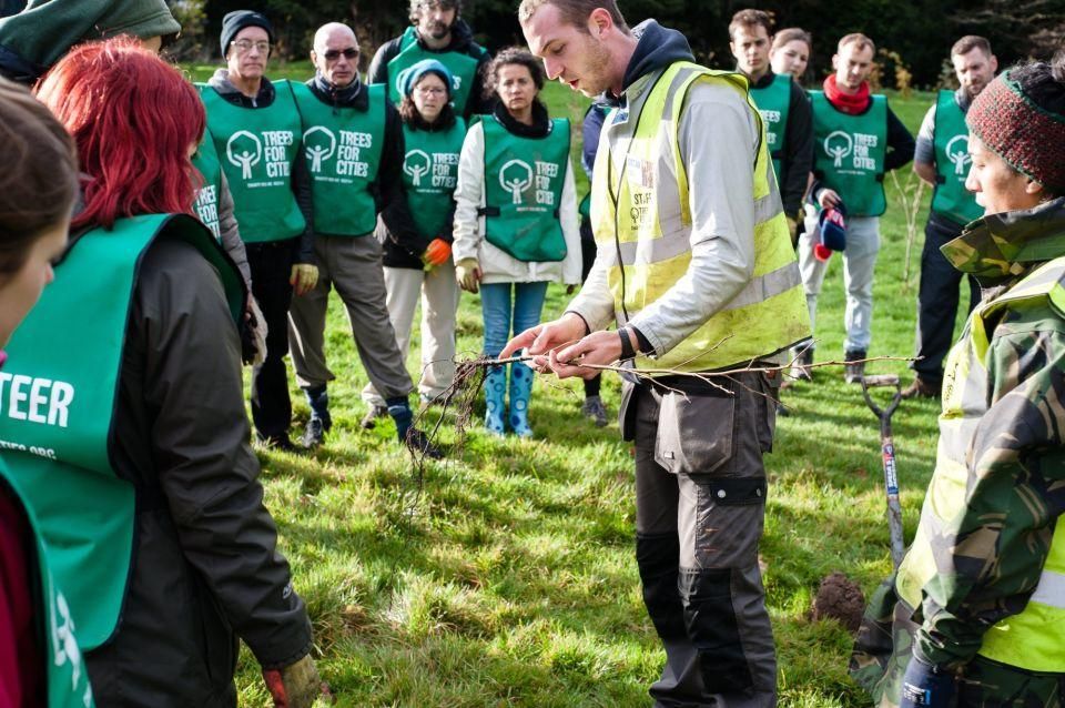 9 Beckenham Place Park planting day 2 Dec 2018 Photo by Luca Radek 0fdd18ba2bf4890d64d12902ca97caa6