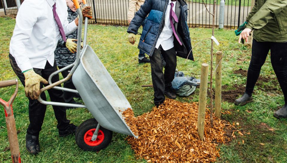 Mulch Wheelbarrow