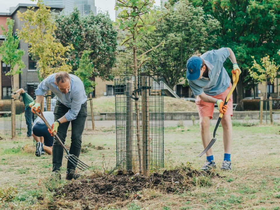 Planting Trees at Ashburton Playing Fields