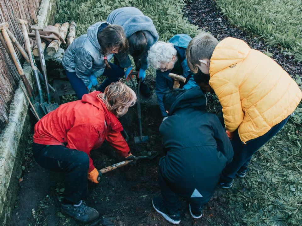 Tree Planting in Schools