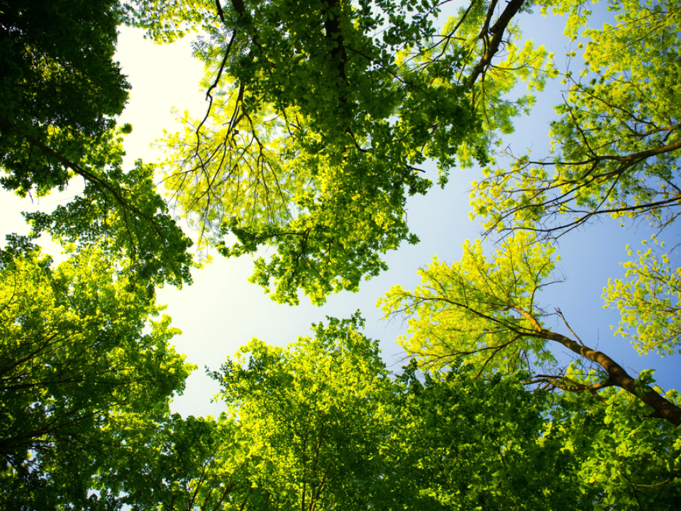 Climate Change Adapted Playgrounds