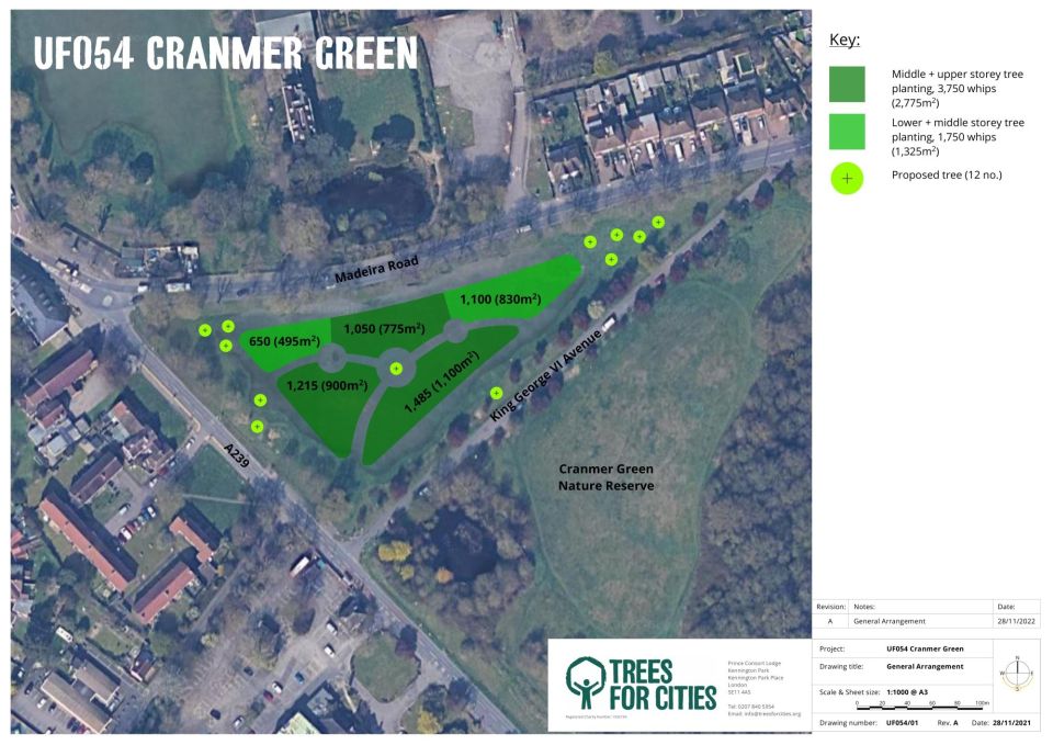 Cranmer Green Planting Plan