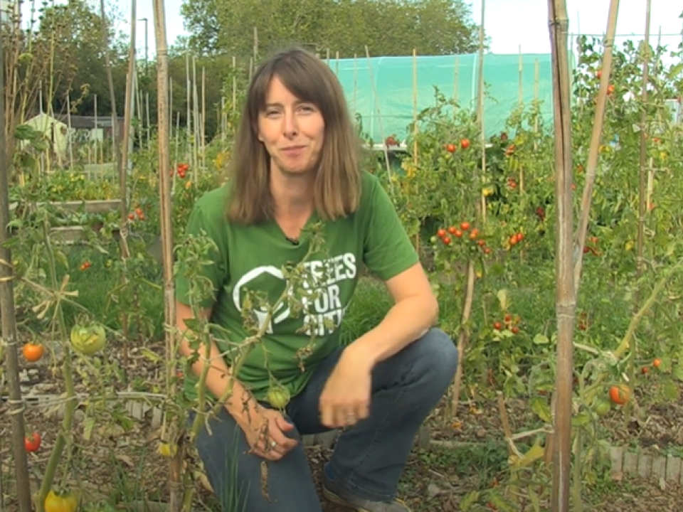 Watch: October garden jobs