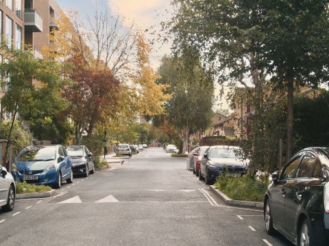 Trees for Streets