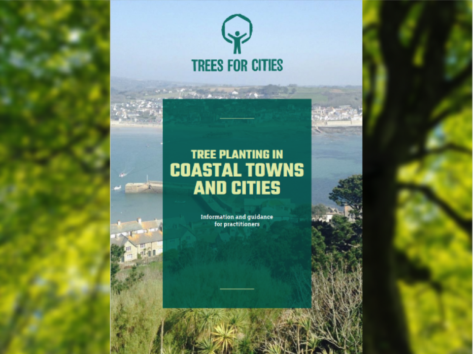 Tree Planting Guide for Coastal Areas