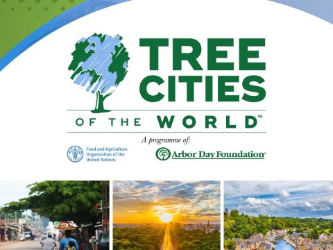 Tree Cities of the World