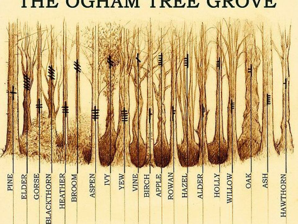 The mysterious Ogham