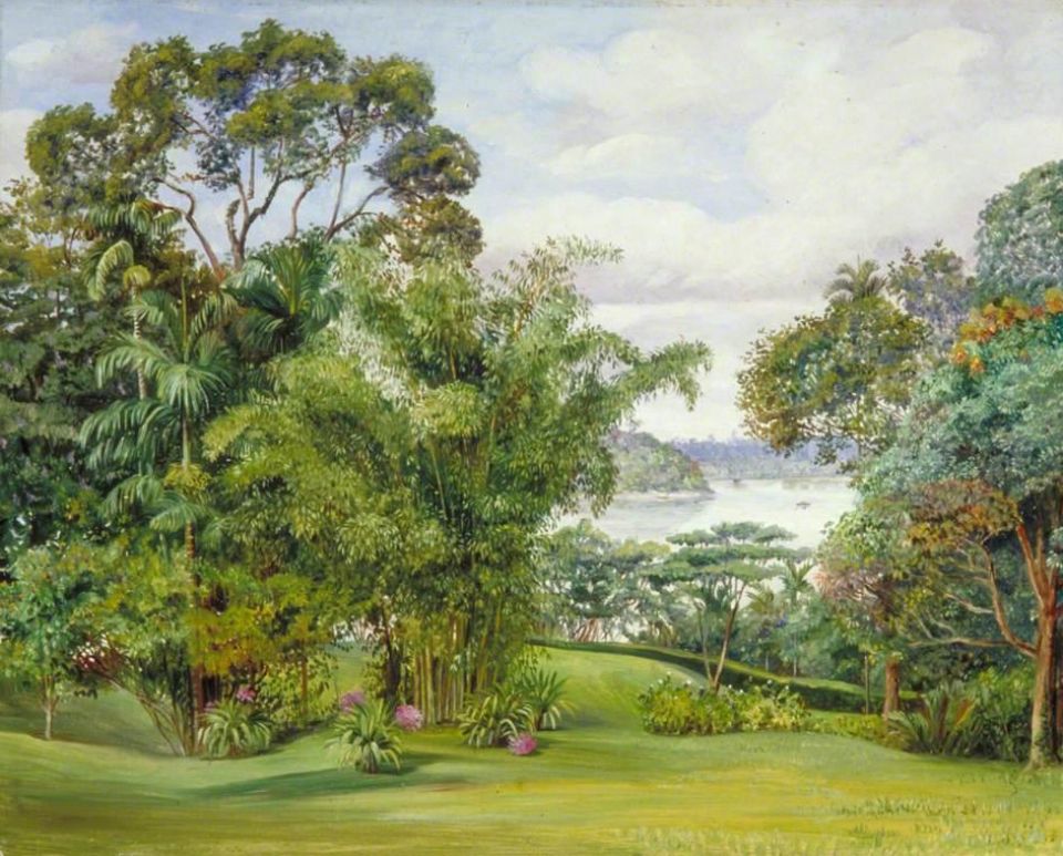 Marianne north 1830 1890 view of the river from the rajahs garden sarawak borneo 823c0a