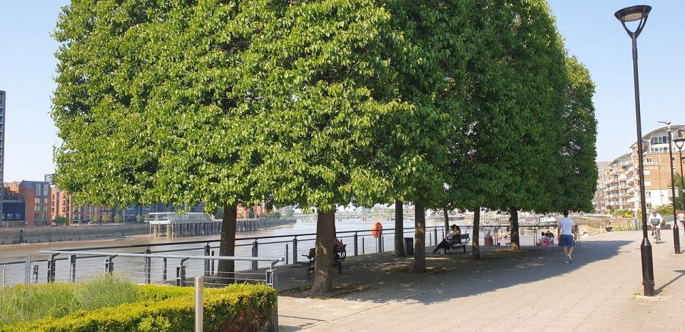 Trees providing shade on a hot summer day, people sitting under trees