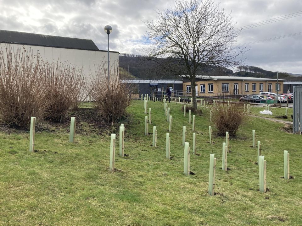 Airedale Food Forest