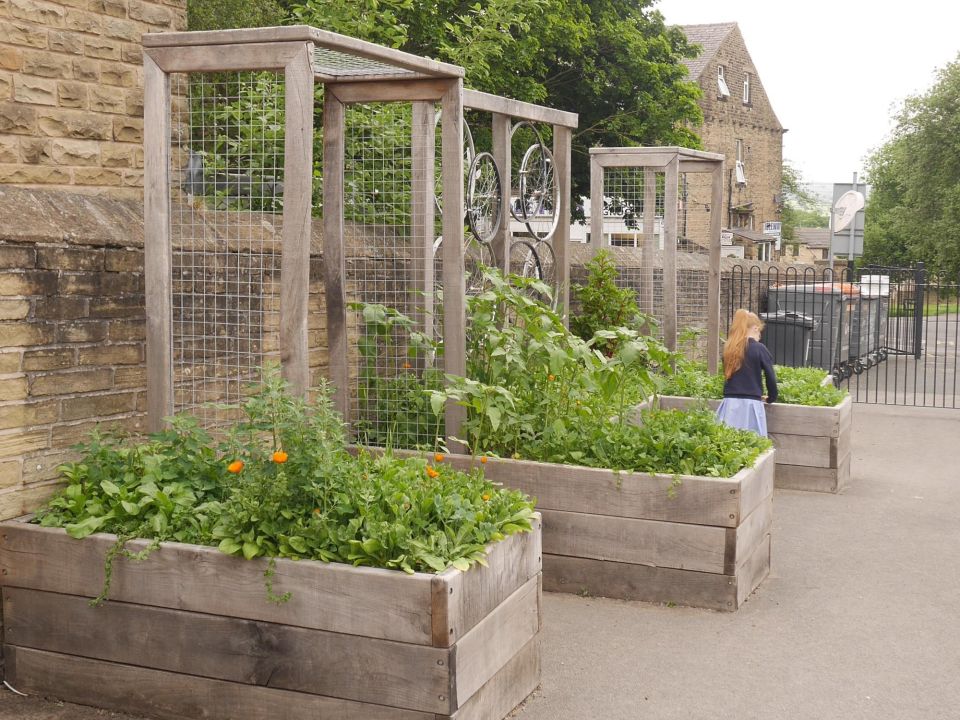 Thorpe Primary School