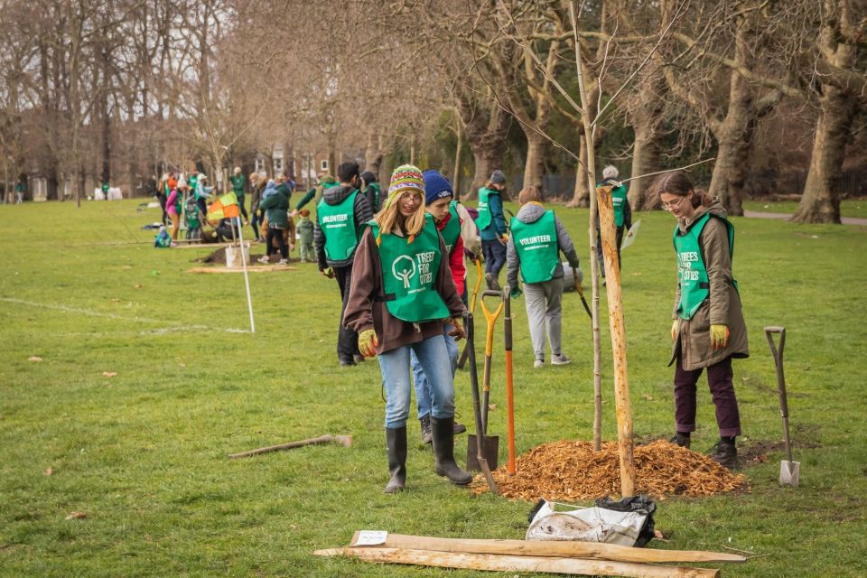 Volunteers planting trees in a park