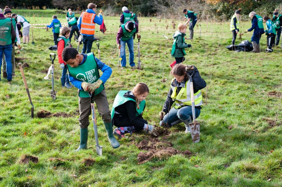 Volunteers planting a tree