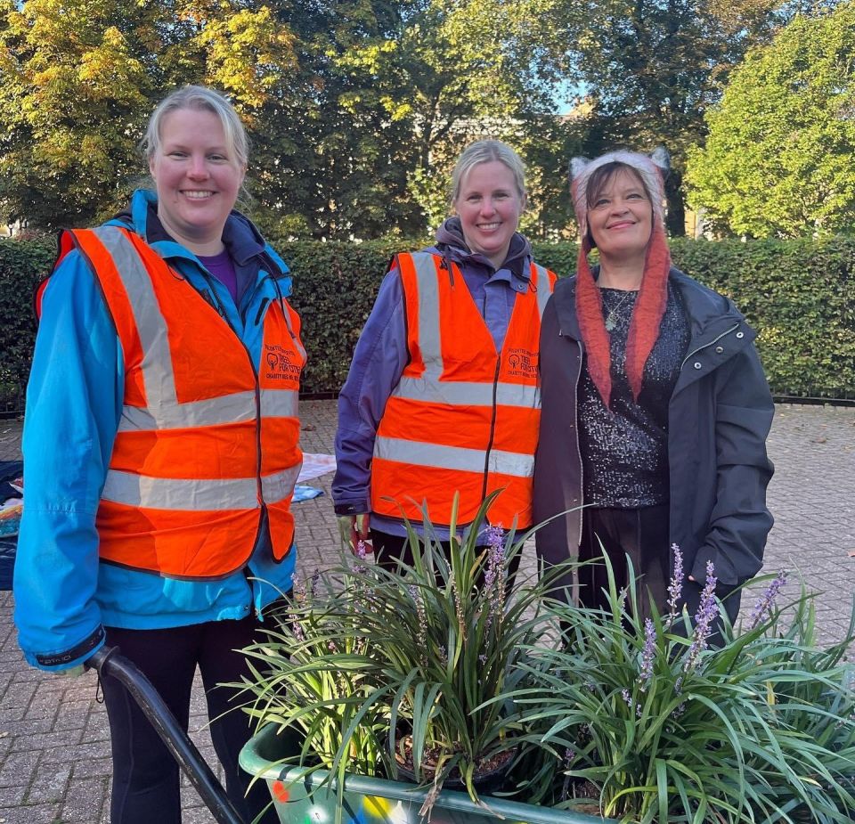 Tree planting volunteer supervisors