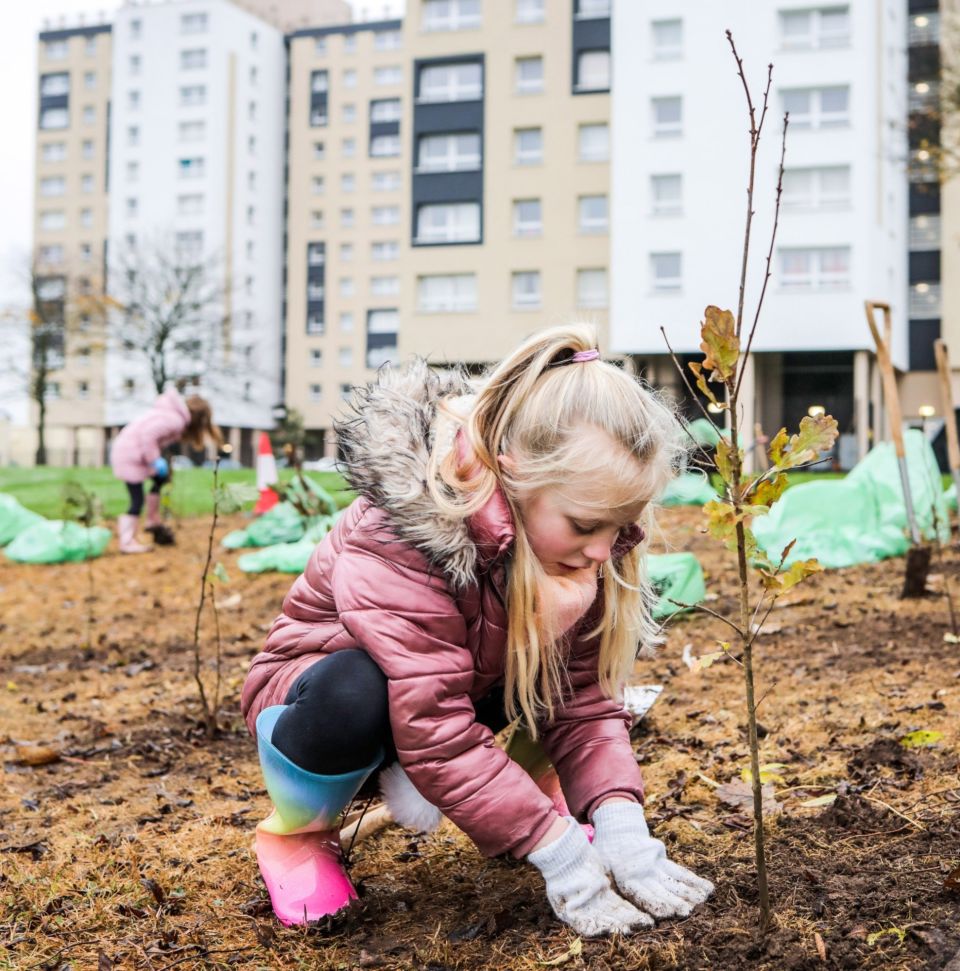 22 11 29 Stockton QGC event tree planting 1272