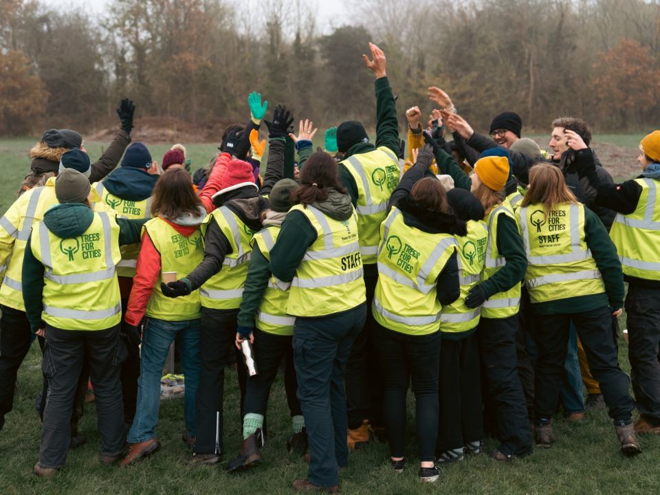 A National Tree Week to remember