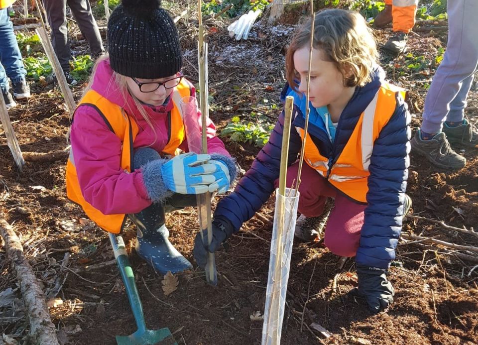 Children Planting A Tree