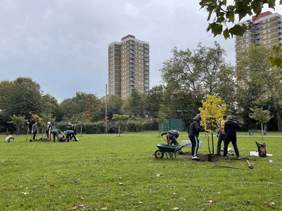 Greening Tower Hamlets