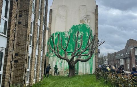 Banksy's Tree Mural | Trees for Cities