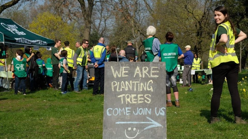We are planting trees board