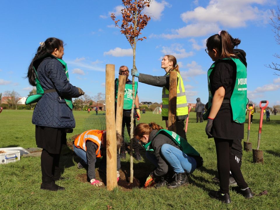 New Trees for Rectory Park