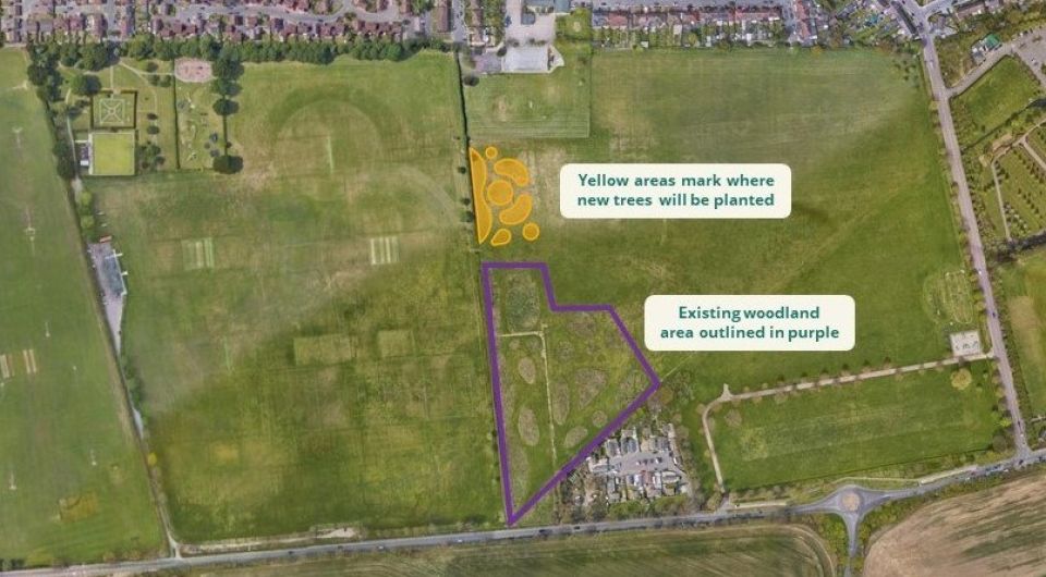 Hainault Rec and Forest Road Woodland