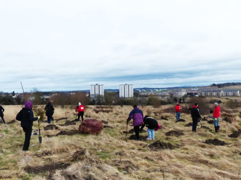 Volunteer Stories: My day of volunteering with Trees for Cities