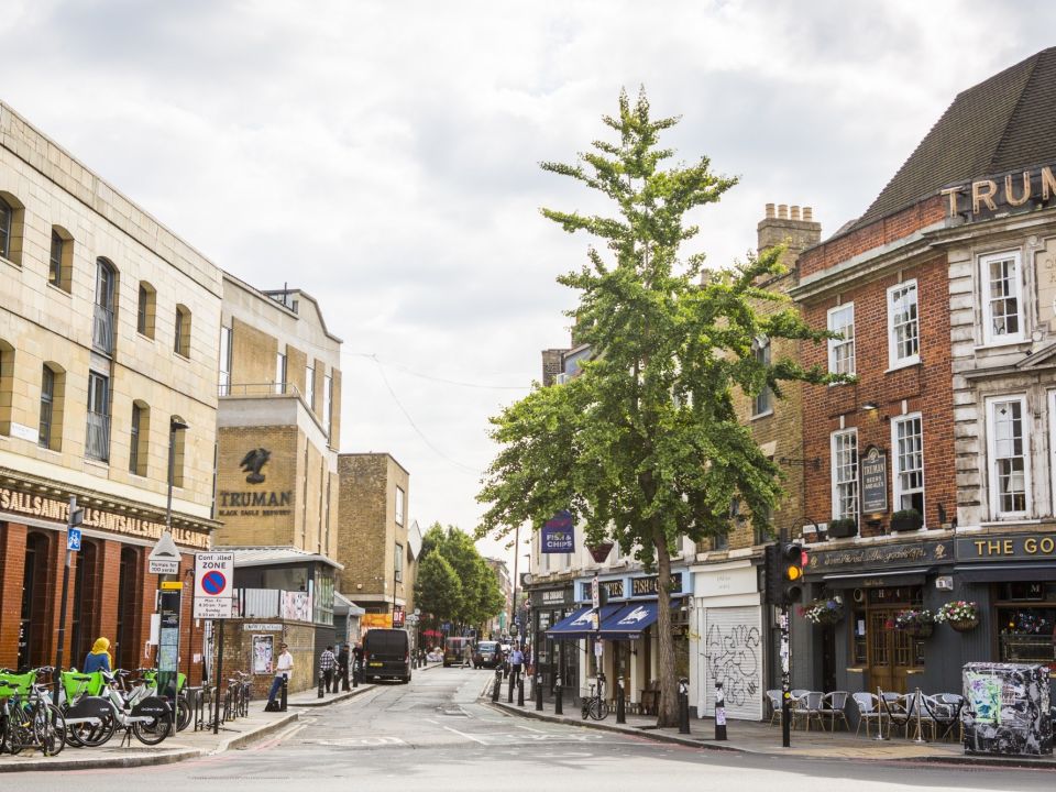 A street in east London with a ginkgo tree on the street