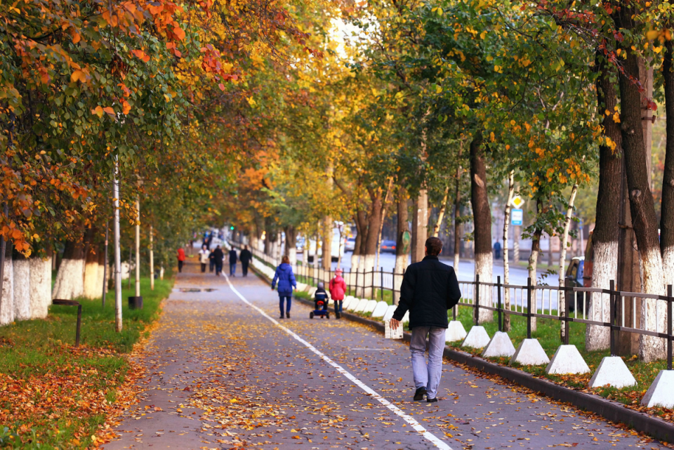 Autumn Stock image