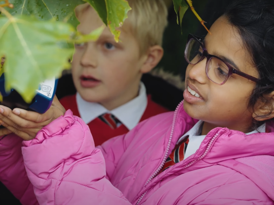 New Bupa Documentary Stars our Planting Healthy Air Project