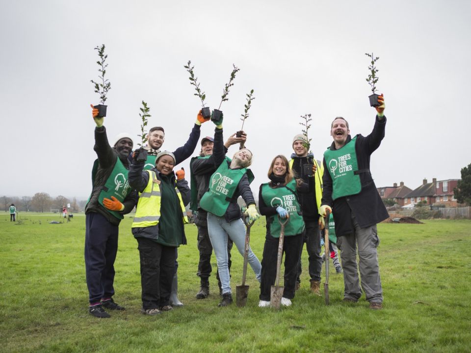 National Tree Week 2024 Wrapped