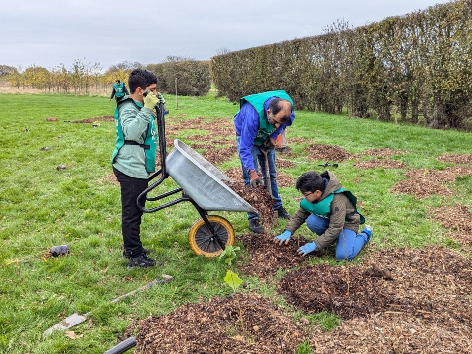 London Tree Ring: Connecting Woodland and People