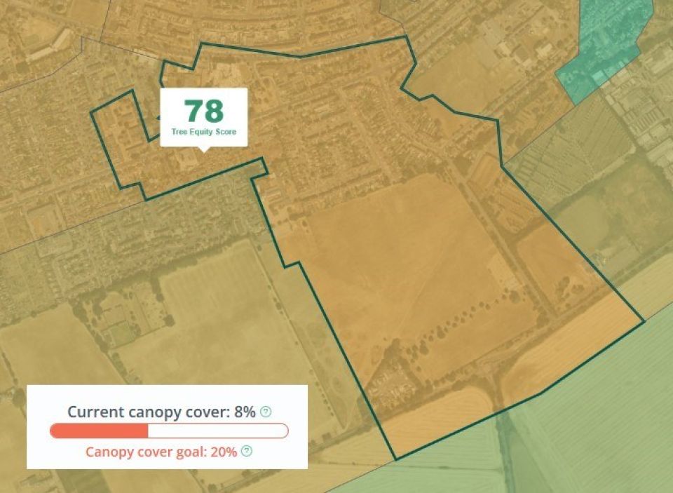 Hainault Rec Tree Equity