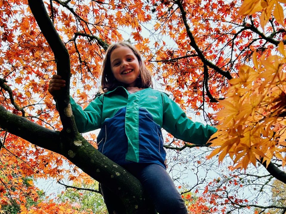 Zelda climbing a tree