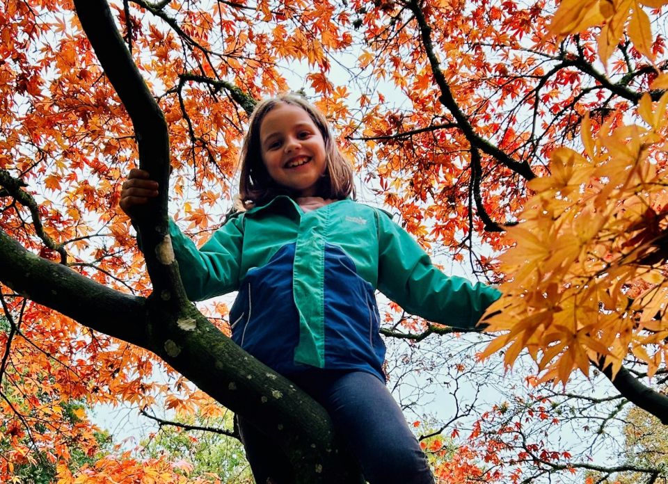 Zelda climbing a tree